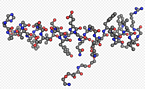 Semaglutide