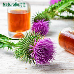 Milk Thistle Extract