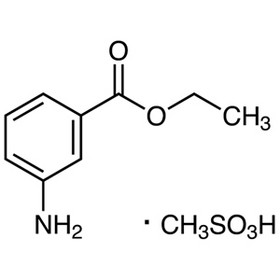 Ethyl 3-aminobenzoate methanesulfonic acid salt