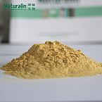 Ginseng Extract