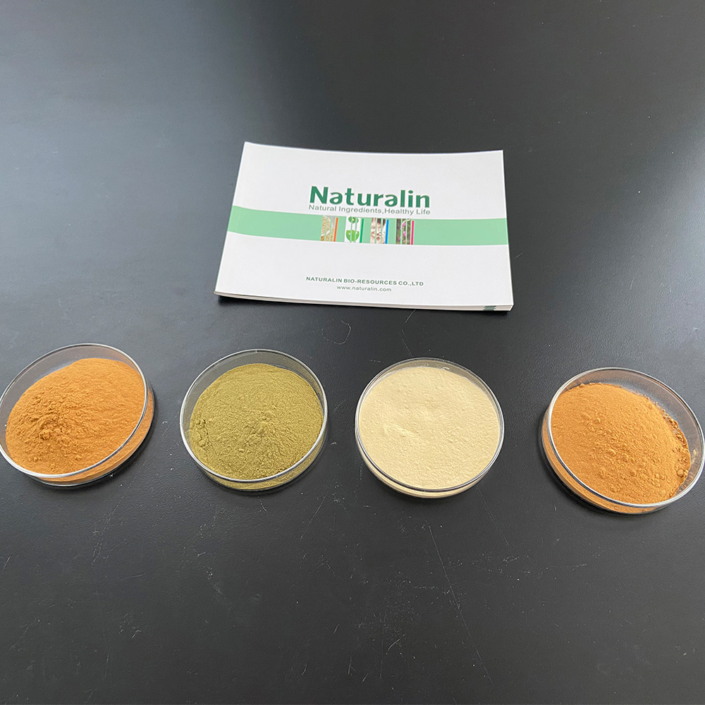Rosemary Extract Powder  