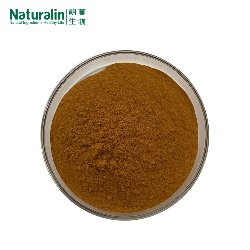 Rosemary Extract Powder  
