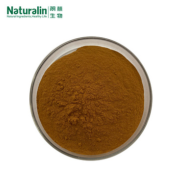 Rosemary Extract Powder