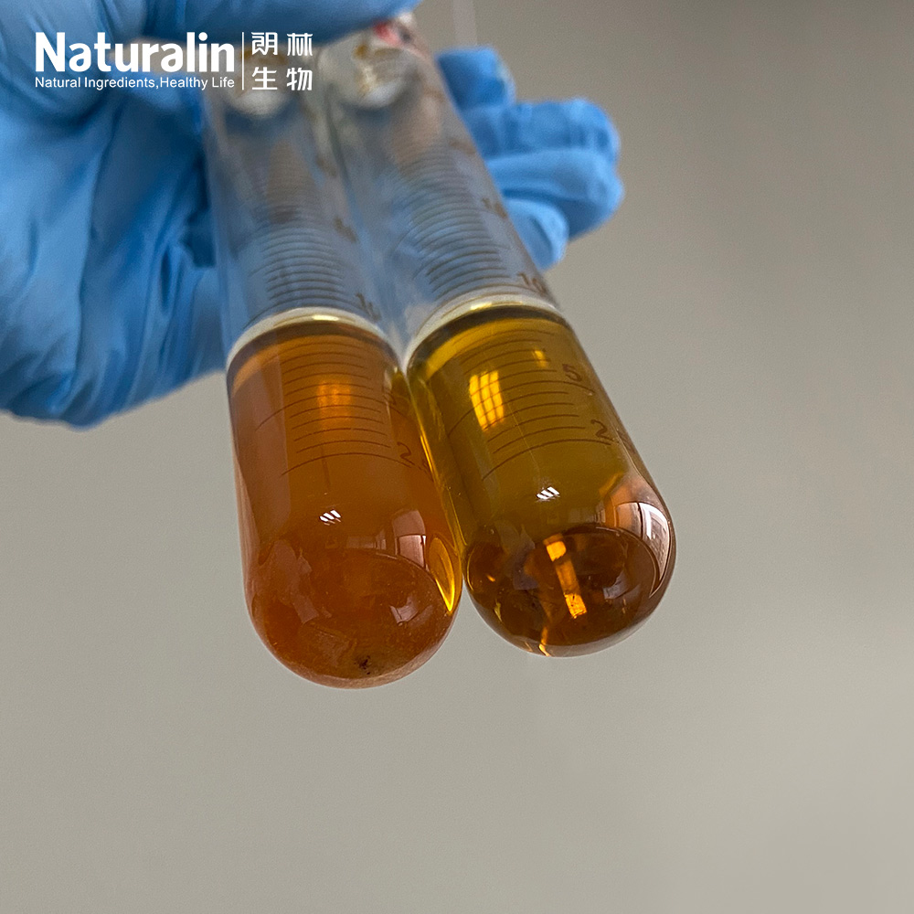 Rosemary Extract Powder  