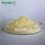 Ginseng Extract