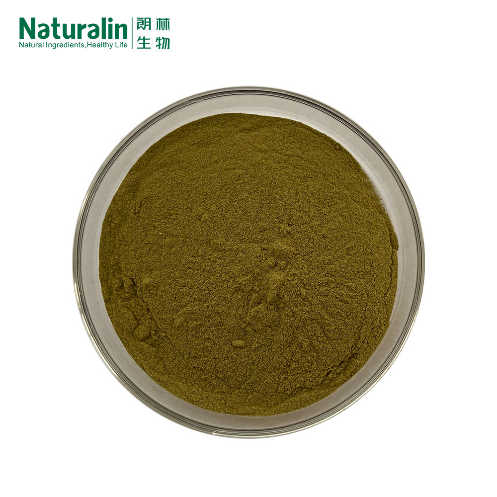 Rosemary Extract Powder  