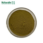 Rosemary Extract Powder