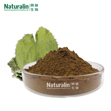 Epimedium Extract Powder