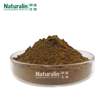 Epimedium Extract Powder