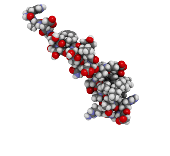 Liraglutide