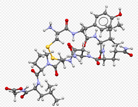 Oxytocin