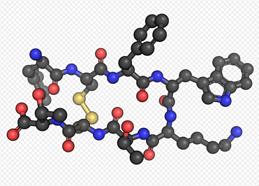 Octreotide Acetate-a longer acting synthetic octapeptide analog of naturally occurring somatostatin.