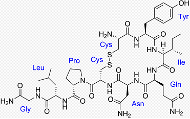 Oxytocin