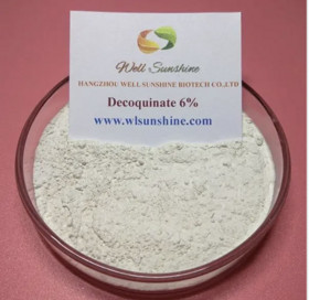 Decoquinate 6%