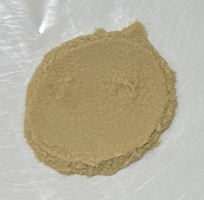 Organic lion's mane extract