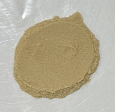 Organic lion's mane extract