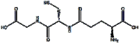 Glutathione Cas No. 70-18-8