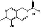 Pyridoxal phosphate CAS：54-47-7