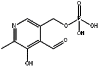 Pyridoxal phosphate CAS：54-47-7