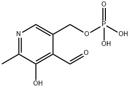 Pyridoxal phosphate CAS：54-47-7