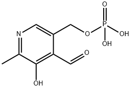 Pyridoxal phosphate CAS：54-47-7