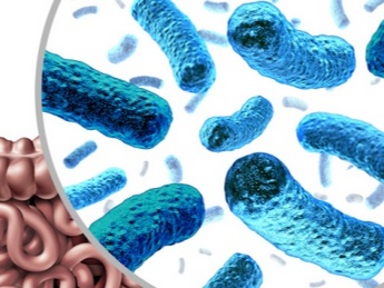 Microbiome Impact on Drug Response and Personalized Medicine