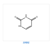 Uracil