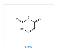 Uracil