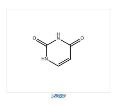 Uracil