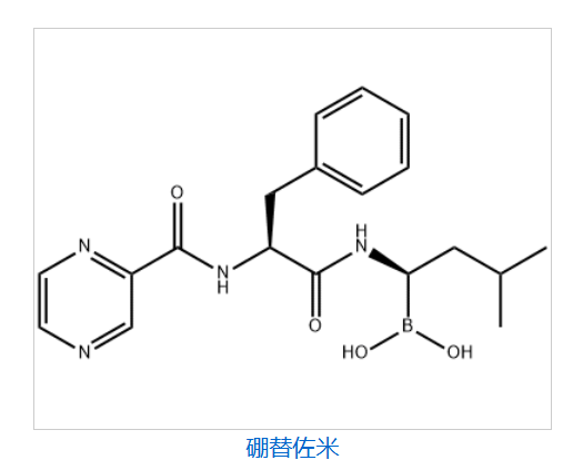 Bortezomib