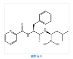 Bortezomib