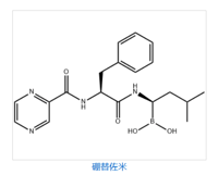 Bortezomib