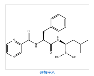 Bortezomib