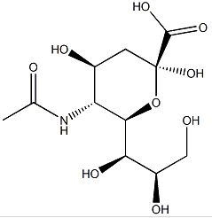 N-Acetylneuraminic Acid  