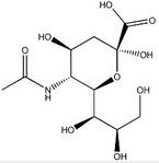 N-Acetylneuraminic Acid