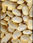 White Kidney Bean Extract