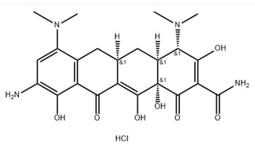 9-Amino minocycline hydrochloride  