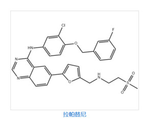 Lapatinib