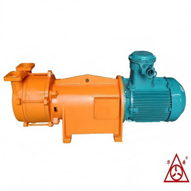 F2BV SERIES Corrosion resistant liquid ring vacuum pumps