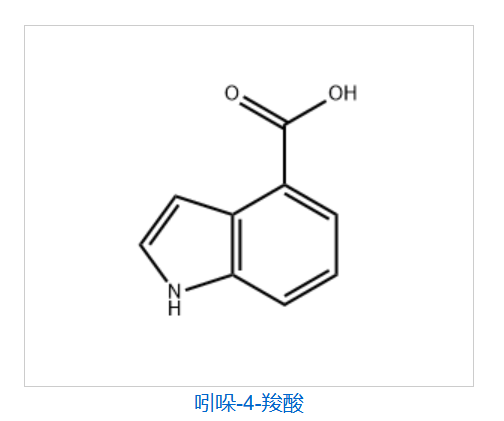 Indole-4-carboxylic acid