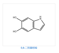 5,6-DIHYDROXYINDOLE