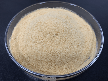 Soya Lecithin Powder (Non-GMO)