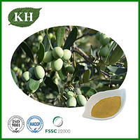 Olive Leaf  Extract Powder