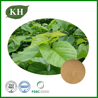 Mulberry Leaf Extract Powder