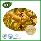 Apindus Mukorossi Extract Powder