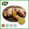 Ginger Extract Powder