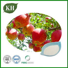 Apple Root Extract Powder