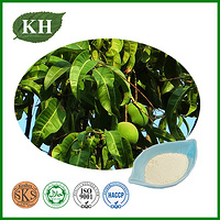 Mango Leaf Extract Powder