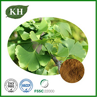 Ginkgo Biloba Leaf Extract Powder