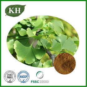 Ginkgo Biloba Leaf Extract Powder